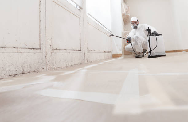24/7 Emergency Black Mold Remediation experts in Rocky Mount, VA