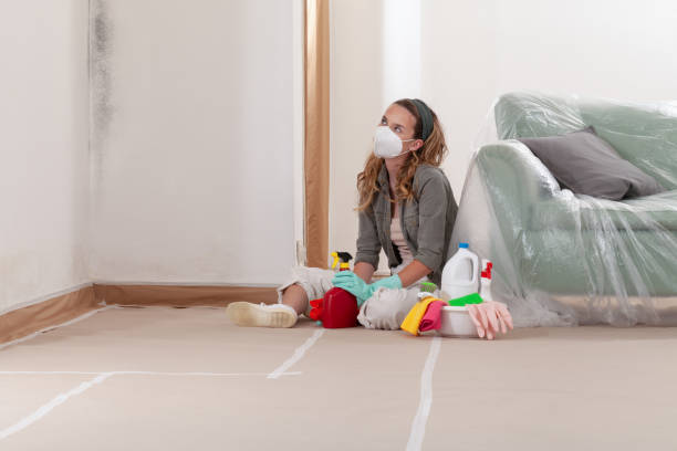 Reliable Black Mold Remediation contractor in Rocky Mount, VA by 24 Hour Mold Removal